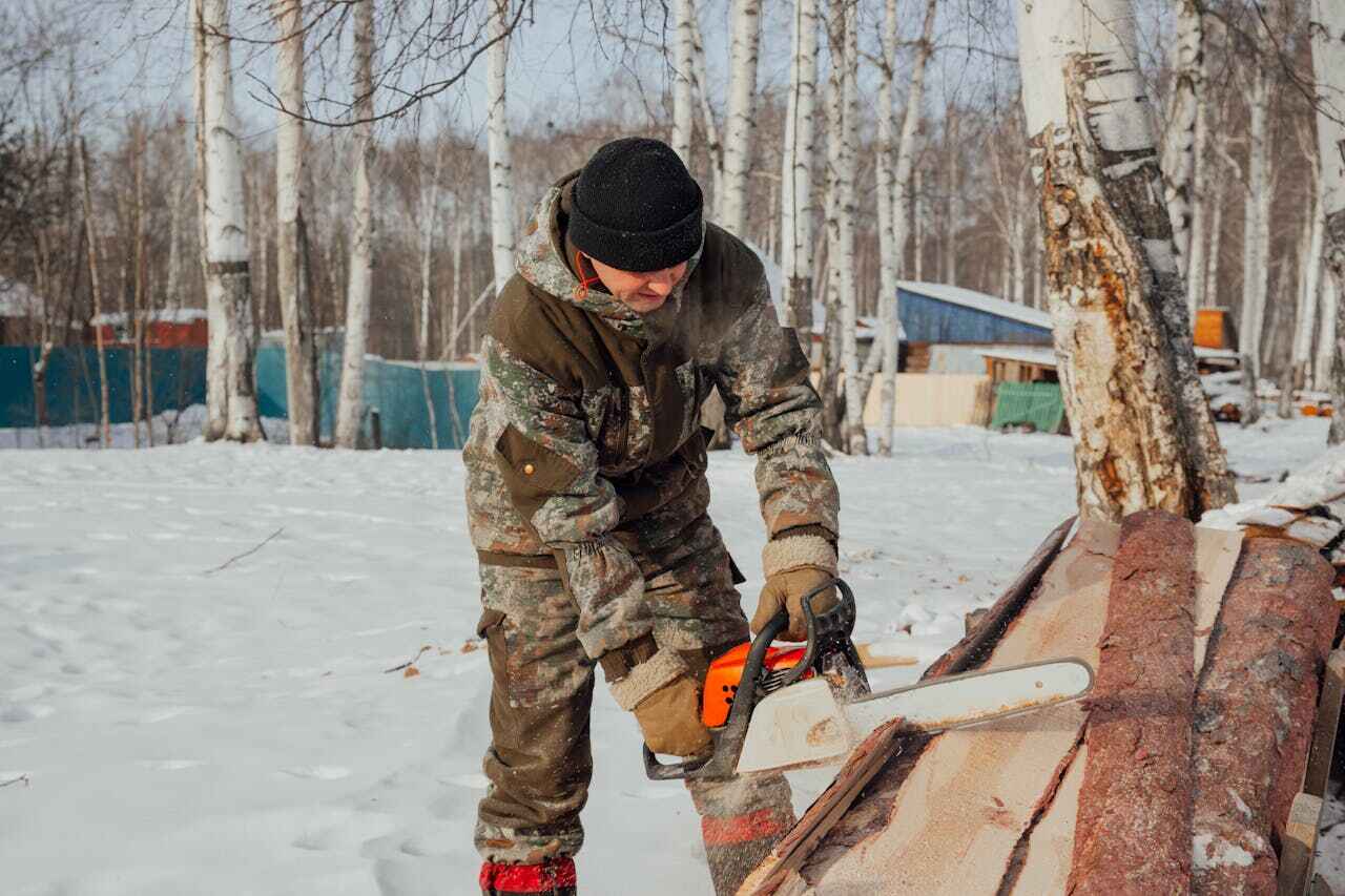 Orion, IL Tree Service Company